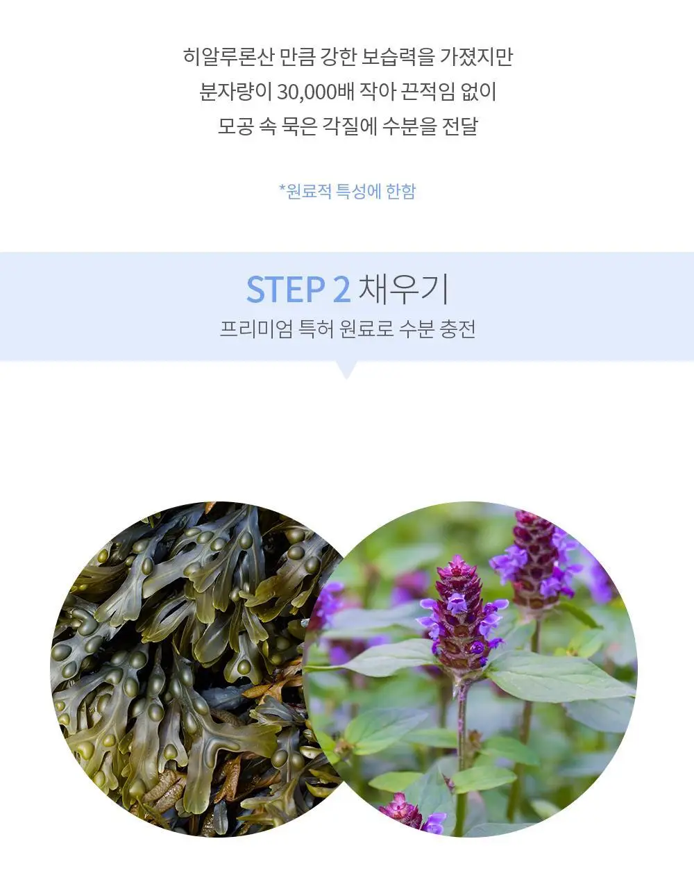 [수분진정] 아드망 마린 켈프 아쿠아 모이스처 토너패드 60매 상세페이지 16